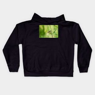 May's Dragon Kids Hoodie